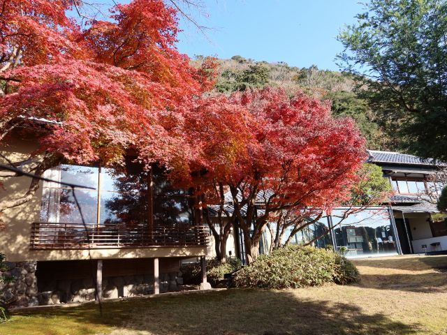 紅葉の時期