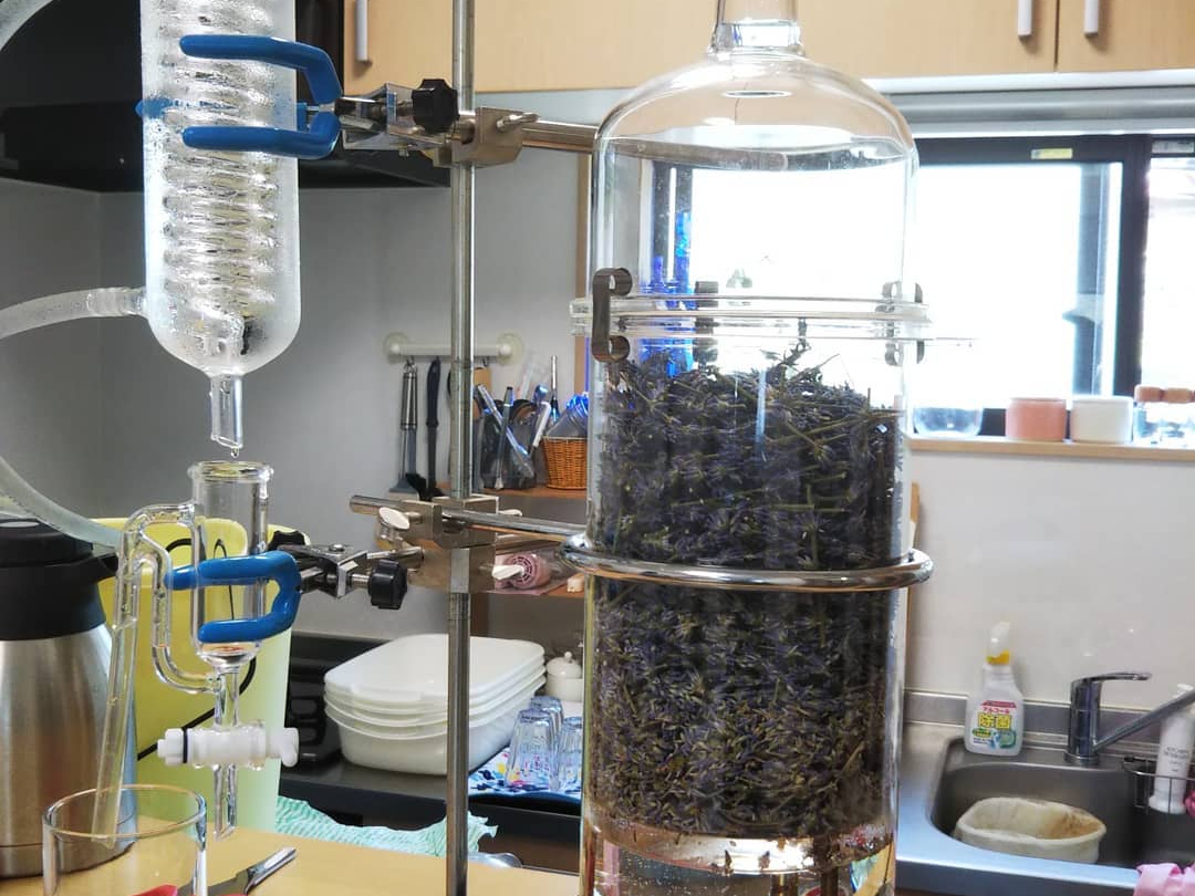 Ɣ_ō̂ꂽx_[A}IC͖{ɗǂ􎩉Ɣ_̃n[uōA}ICgẴA}Xv[I