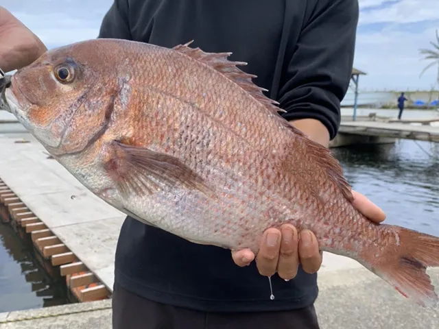 じゃらん限定☆レンタル竿無料♪】□海釣り□＼関東最大級／陸上にある