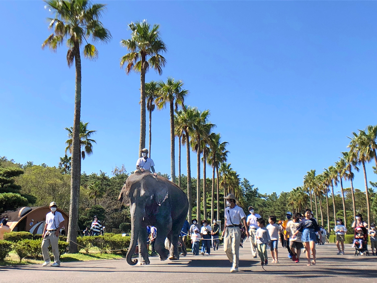 ]EƈꏏɂU悤ILOBełI