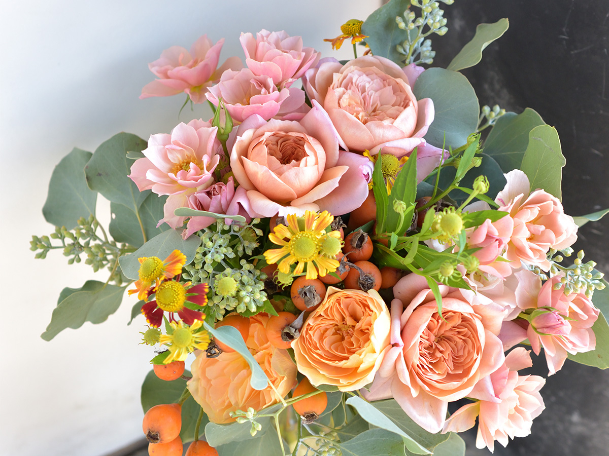 ǂ̂΂gp邩͓̂y݁@Vipӂ邱Ƃ܂