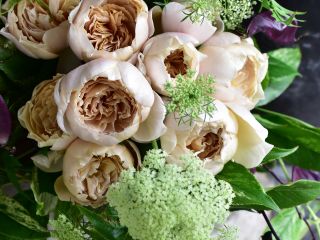 守山のばら シャルロットペリアンを束ねます