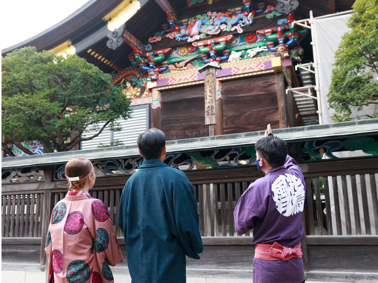 �K�C�h�����C����������