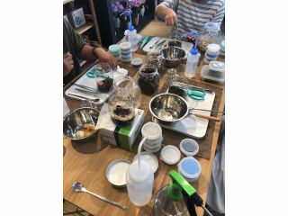 みんなでワイワイ楽しみながら苔テラリウムを作りませんか