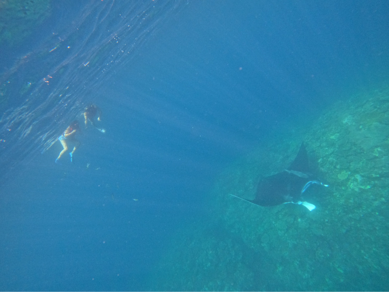 �V���m�[�P���Ń}���^�ɑ�����