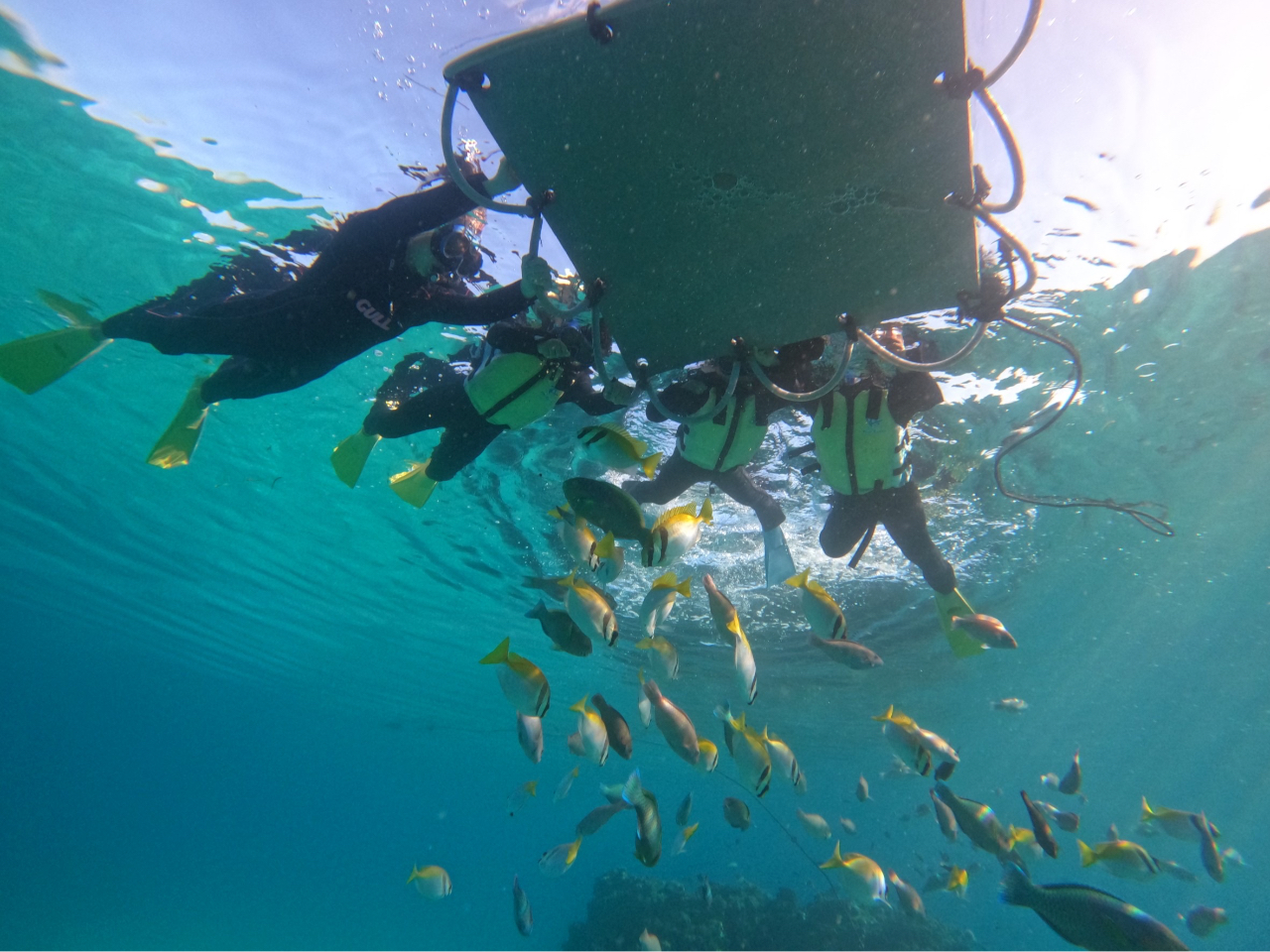 �j���Ɏ��M���Ȃ��Ă��t���[�^�[�ɂ��܂�V���m�[�P���ł��܂�