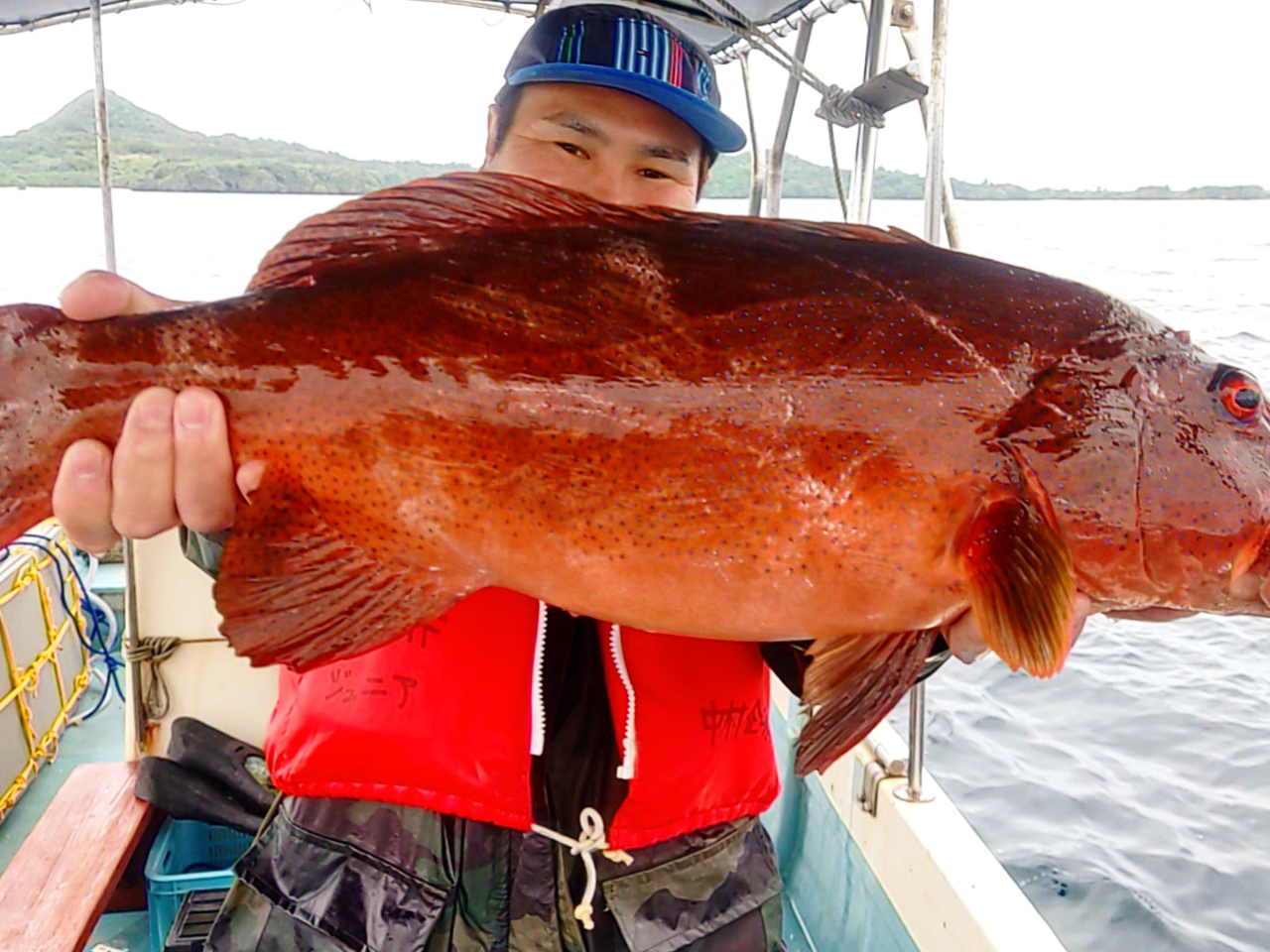 �A�J�W���ނ�܂����I