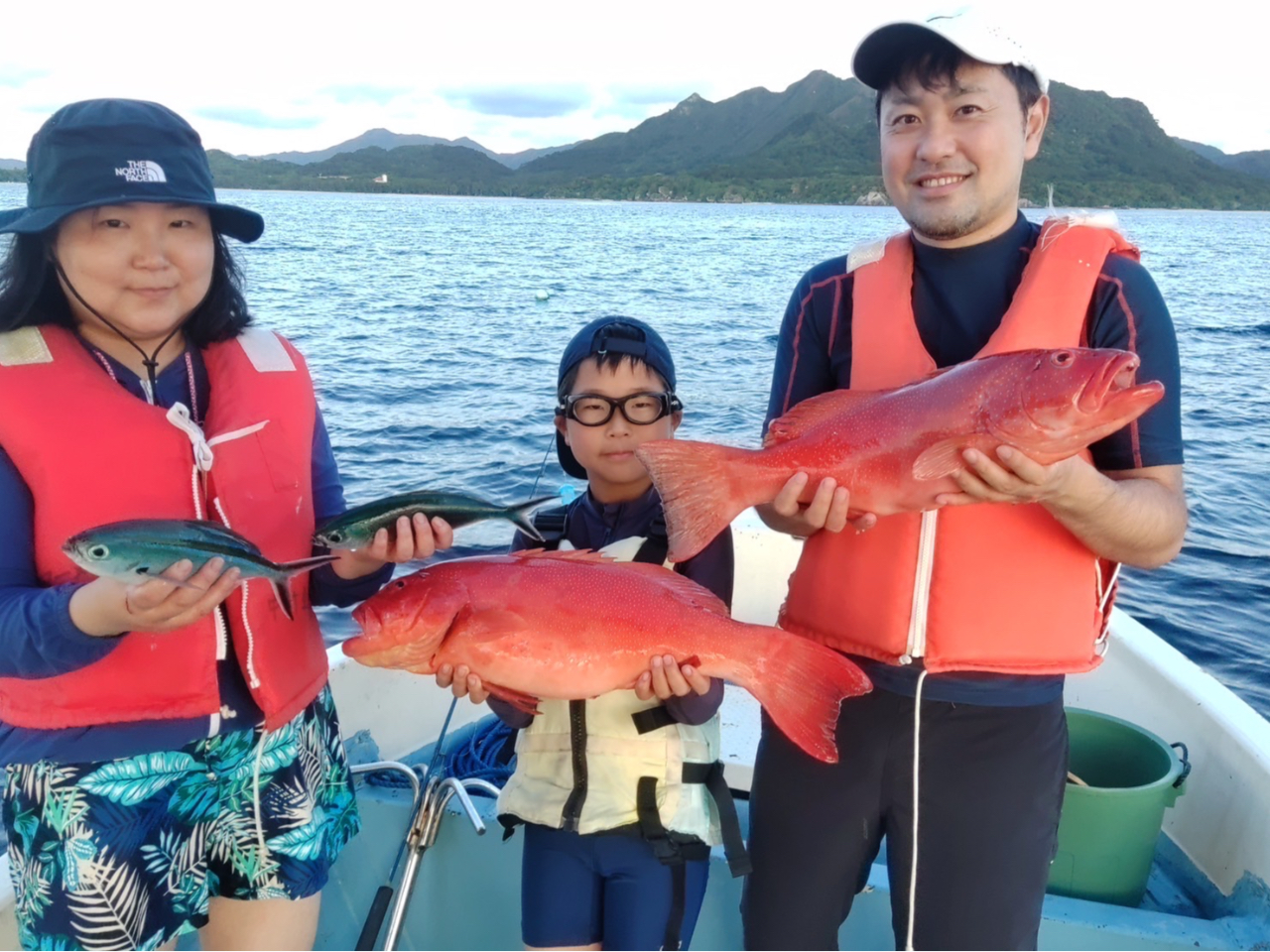 �Ƒ��ŉ��ނ�̌���