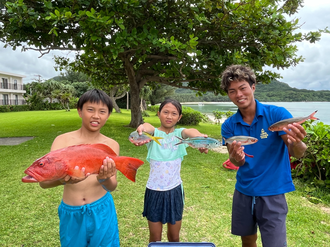 �O���N���ɃA�J�W���ɑ務���