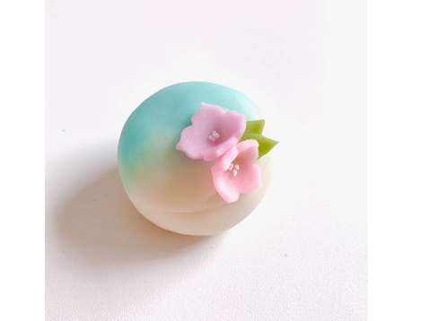 梅雨空に咲く紫陽花の花