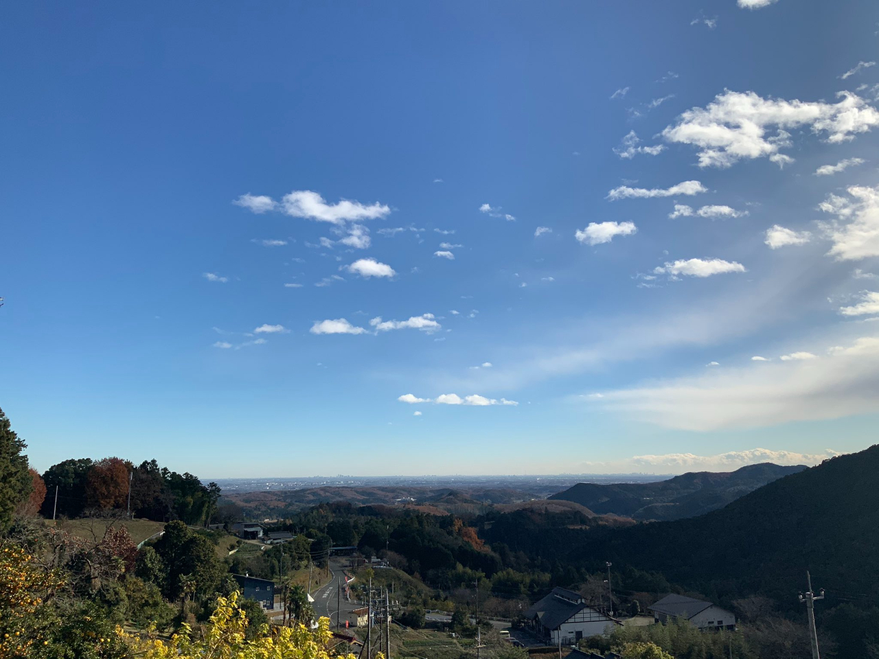 スカイツリーを中心に据え、関東平野を一望できます