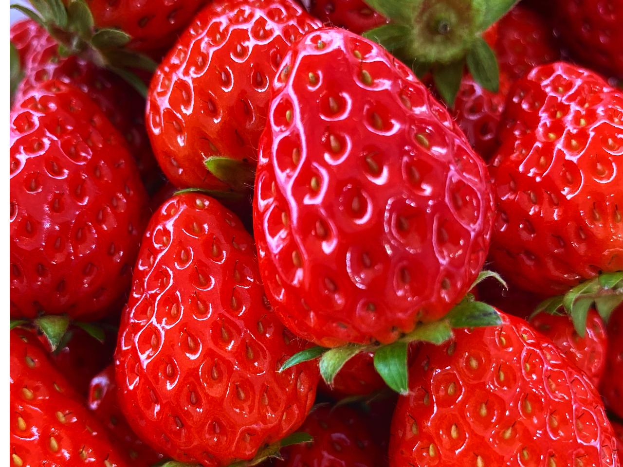 �{�O�_���̎ʐ^1