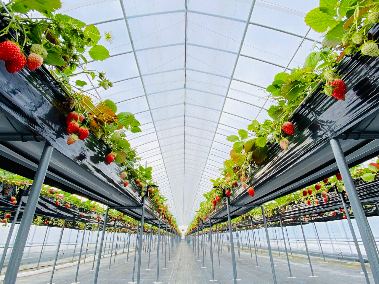 �{�O�_���̎ʐ^3