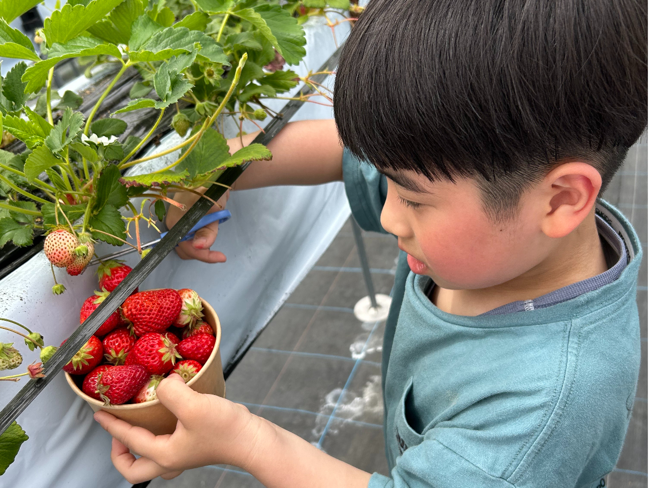 �{�O�_���̎ʐ^4