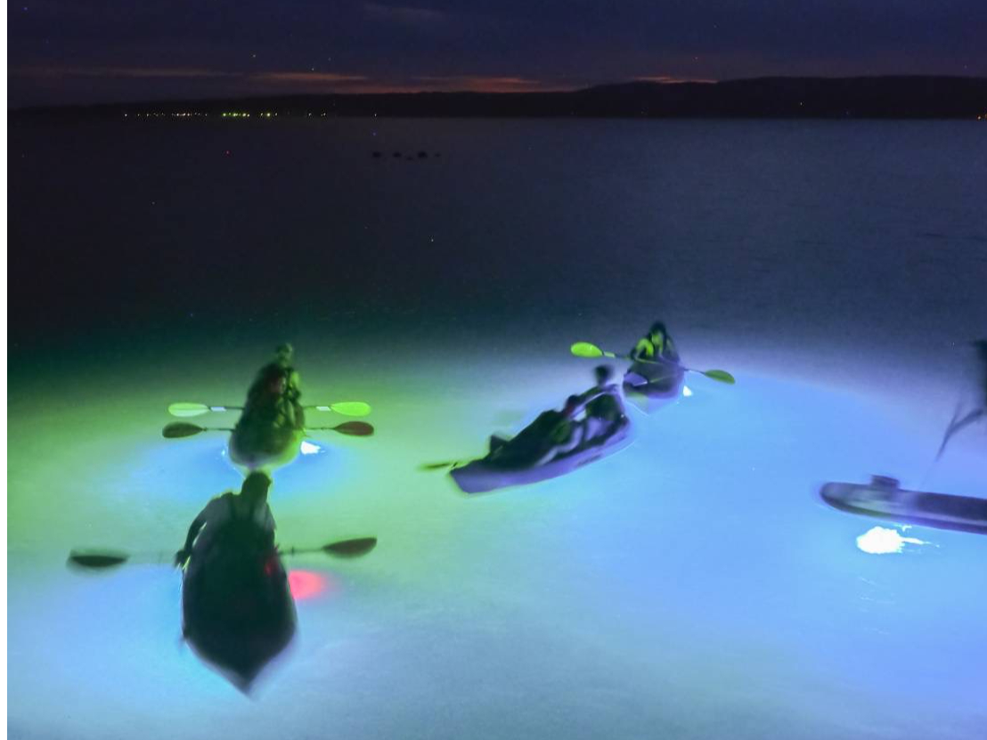 ナイトレイドリアルシティセット 09/17発売！nitraid(ナイトレイド）秋冬新作、DVD、スポットアイテム