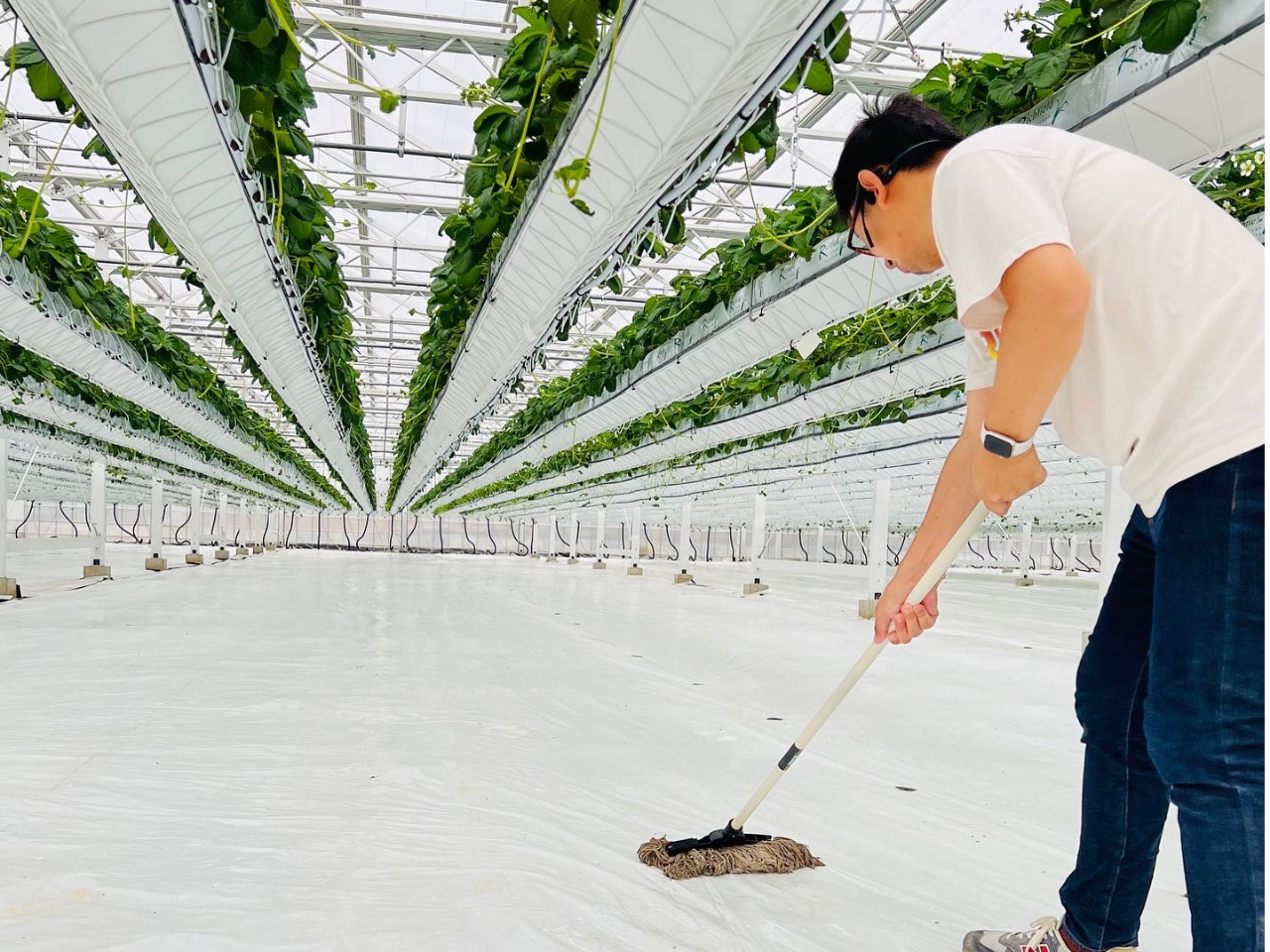 ɂ͔̖hhV[g~Ă܂̂ŁAyȂǂCɂiły݂܂BV[g̑邽߁Asq[͂