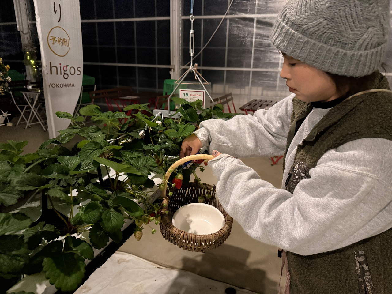 �Â��Ƃ��낪���ȕ���A���q�l�͖��邢�G���A���������߂ł��B