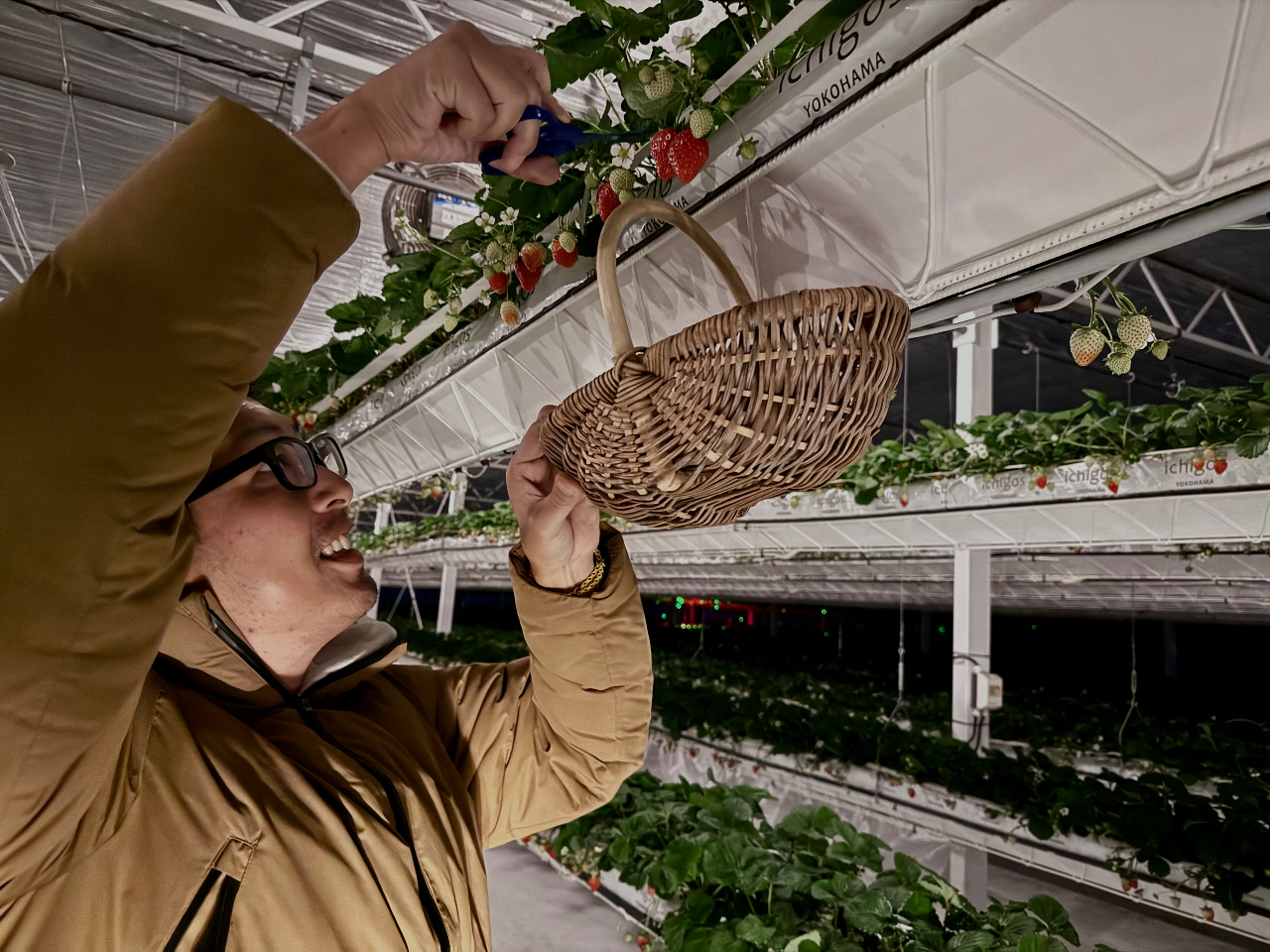 ���i�͎��n�ł��Ȃ���̒i�̂����������n�ł��܂��B