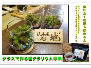 【コーヒーは無料サービスです】 お一人から、お友達やお子様とご一緒にかわいい苔たちに会いに来て下さいね。