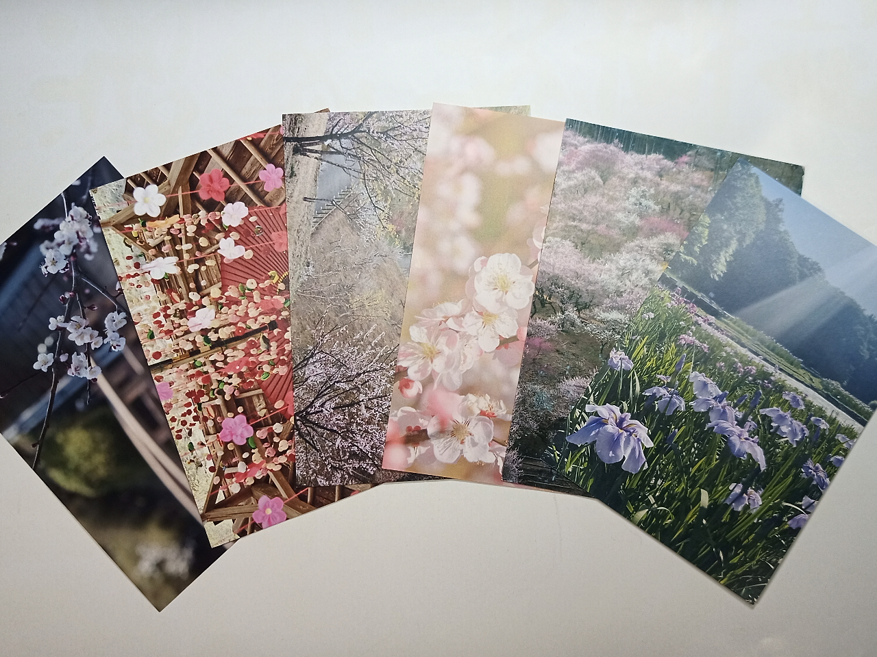 篆刻の記念に絵葉書を一枚プレゼント!メッセージを書いて彫ったはんこを捺すと良い記念になります。