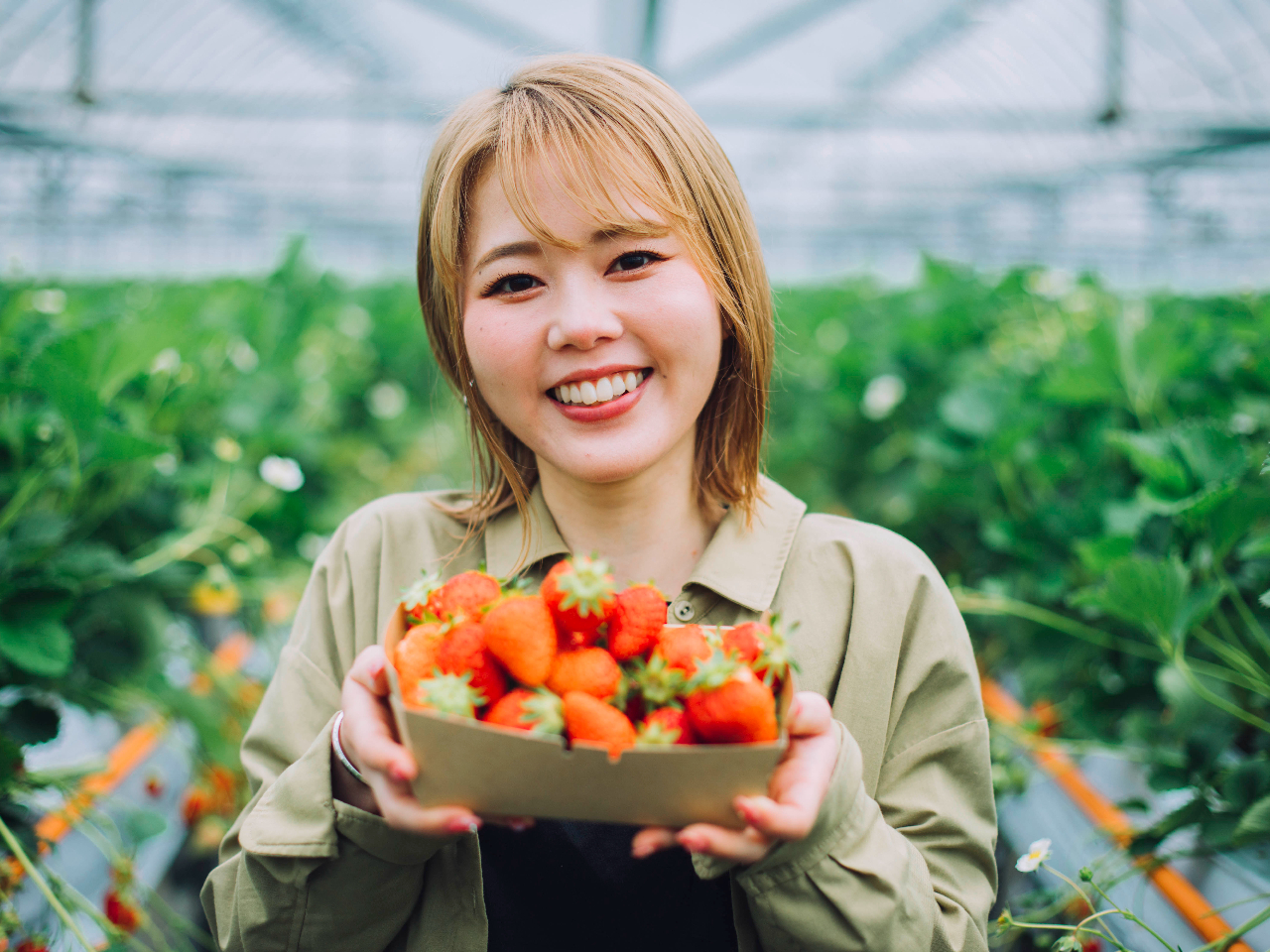 t@~[EJbvEFBmł̂̌߂łI (ۂ̂̓g[đ̌܂)