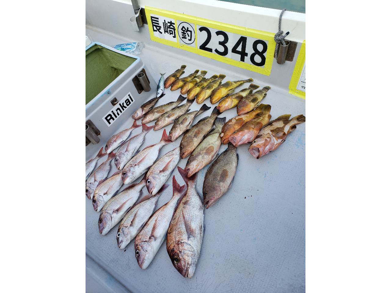 ^Co&X[p[CgWMOł̒މʂłB