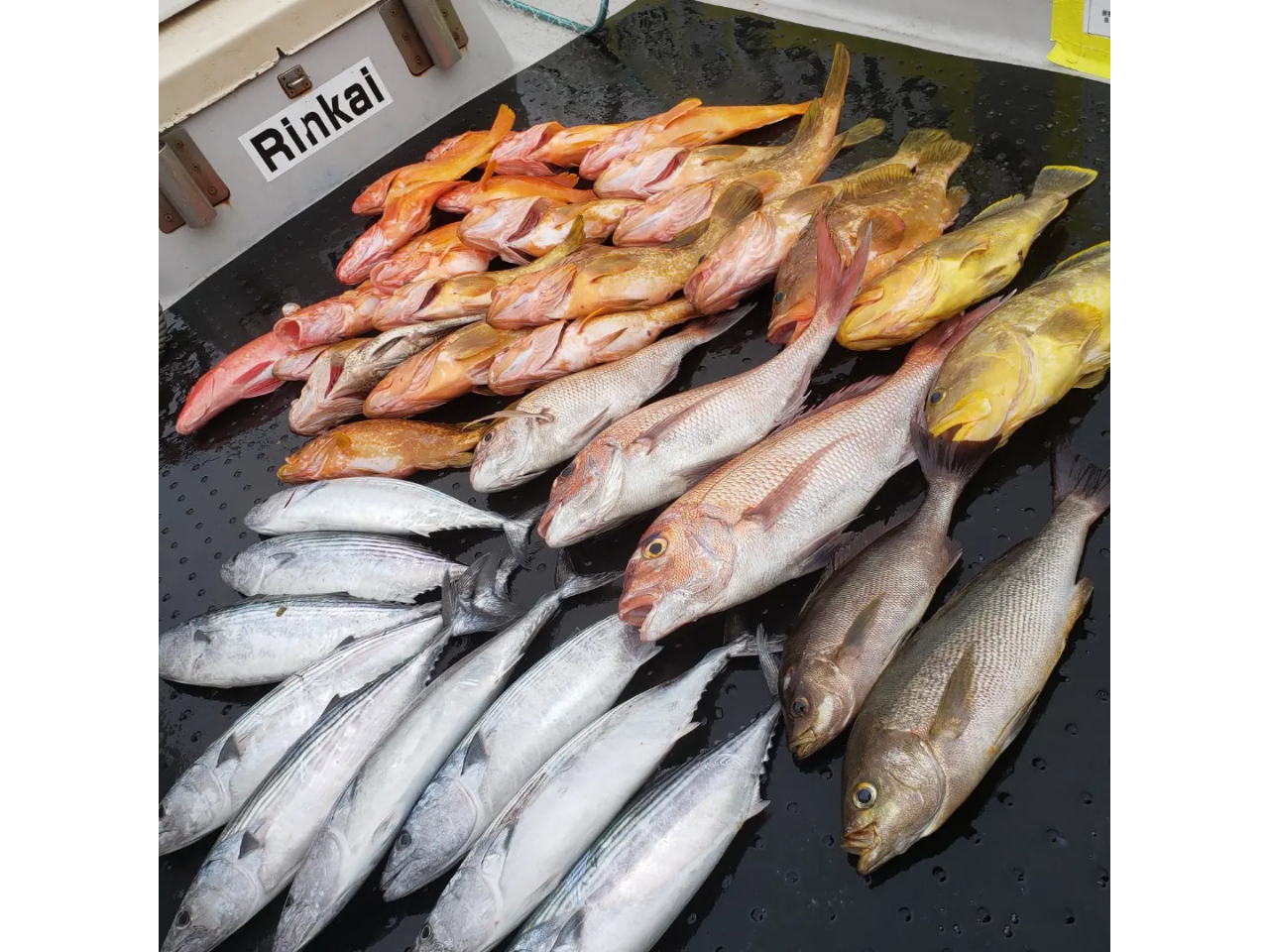 ^Co&X[p[CgWMOł̒މʂłB