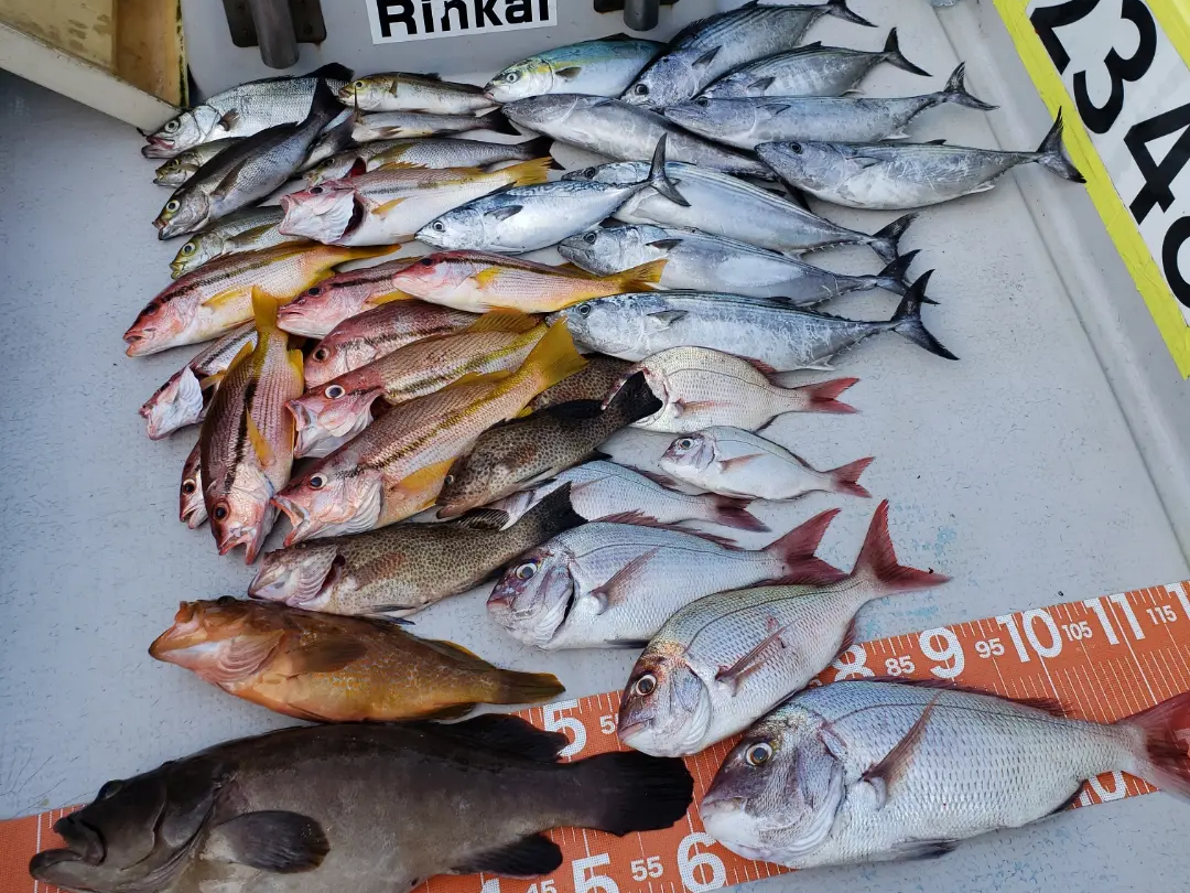 ^Co&X[p[CgWMOł̒މʂłB