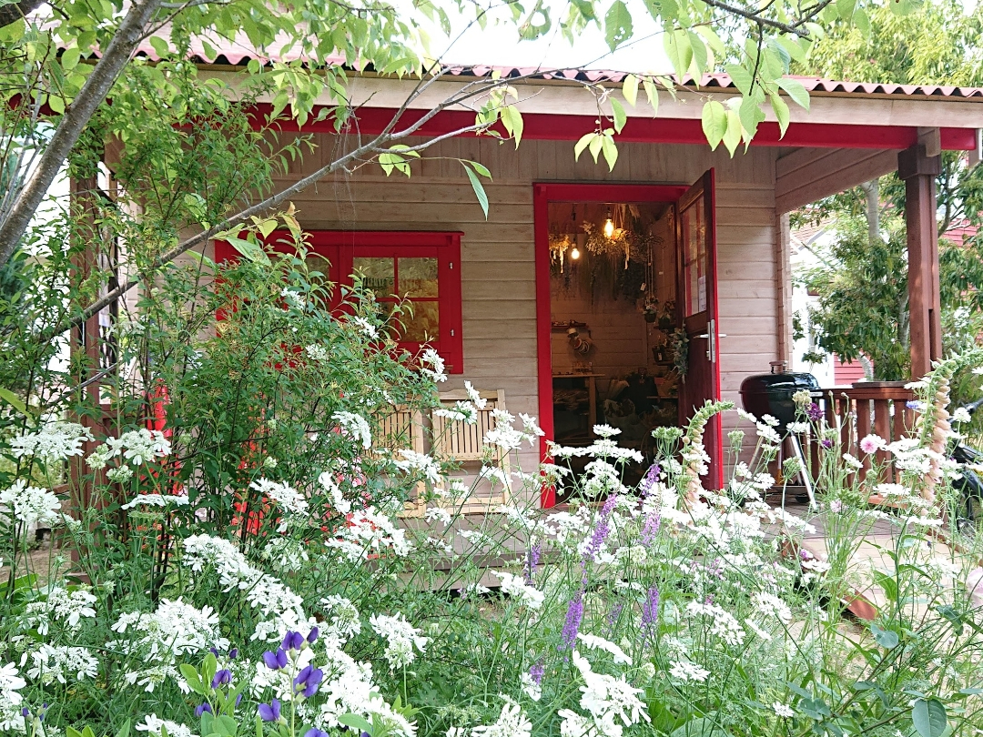 ~nɂ܂hCt[Ɗ񂹐ȀȉԉłBĂ܂B