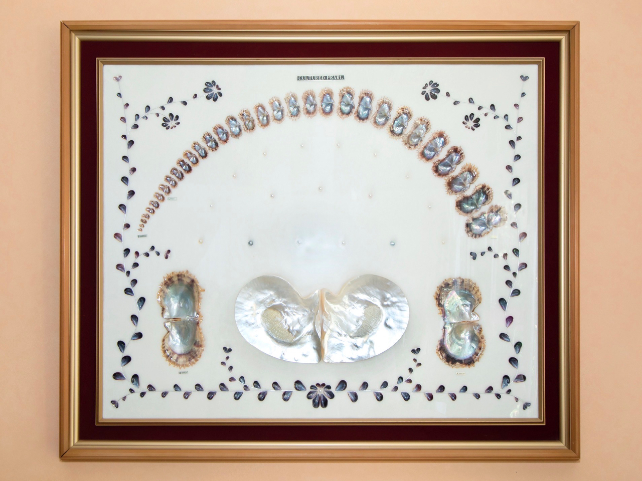 真珠貝(母貝)を育て、その中で育まれてできる真珠のお話もします。お子さんから大人も、興味を持ってくださいます。