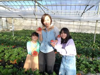 家族でいちご狩り