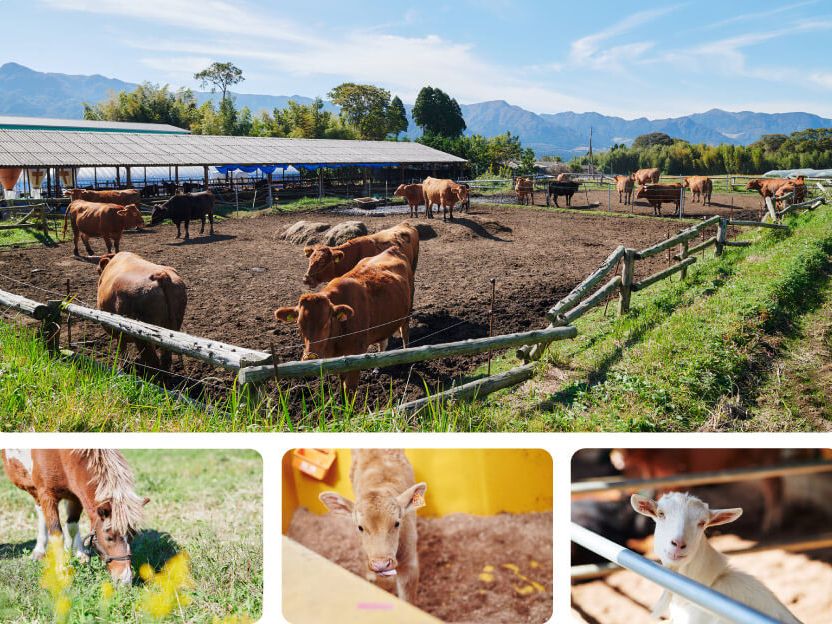 110̐eq̋̂т̂щ߂Ă܂`I