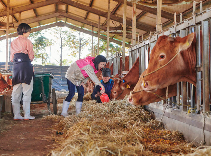 gERV⊱킹GTAXRbvłċ̌܂ŉ^ł܂