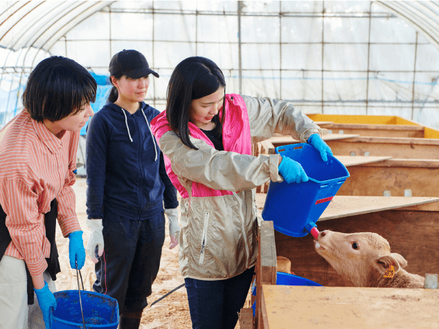 生後間もない仔牛でも、力強い吸引力でミルクを美味しそうに飲みます。バケツごと持っていかれないように、しっかり握っておくことが大事!