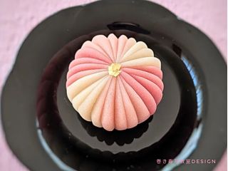 見た目も美しい和菓子の世界へようこそ♪