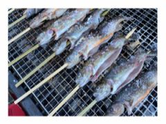 釣った川魚はすぐに塩焼きにして食べれます