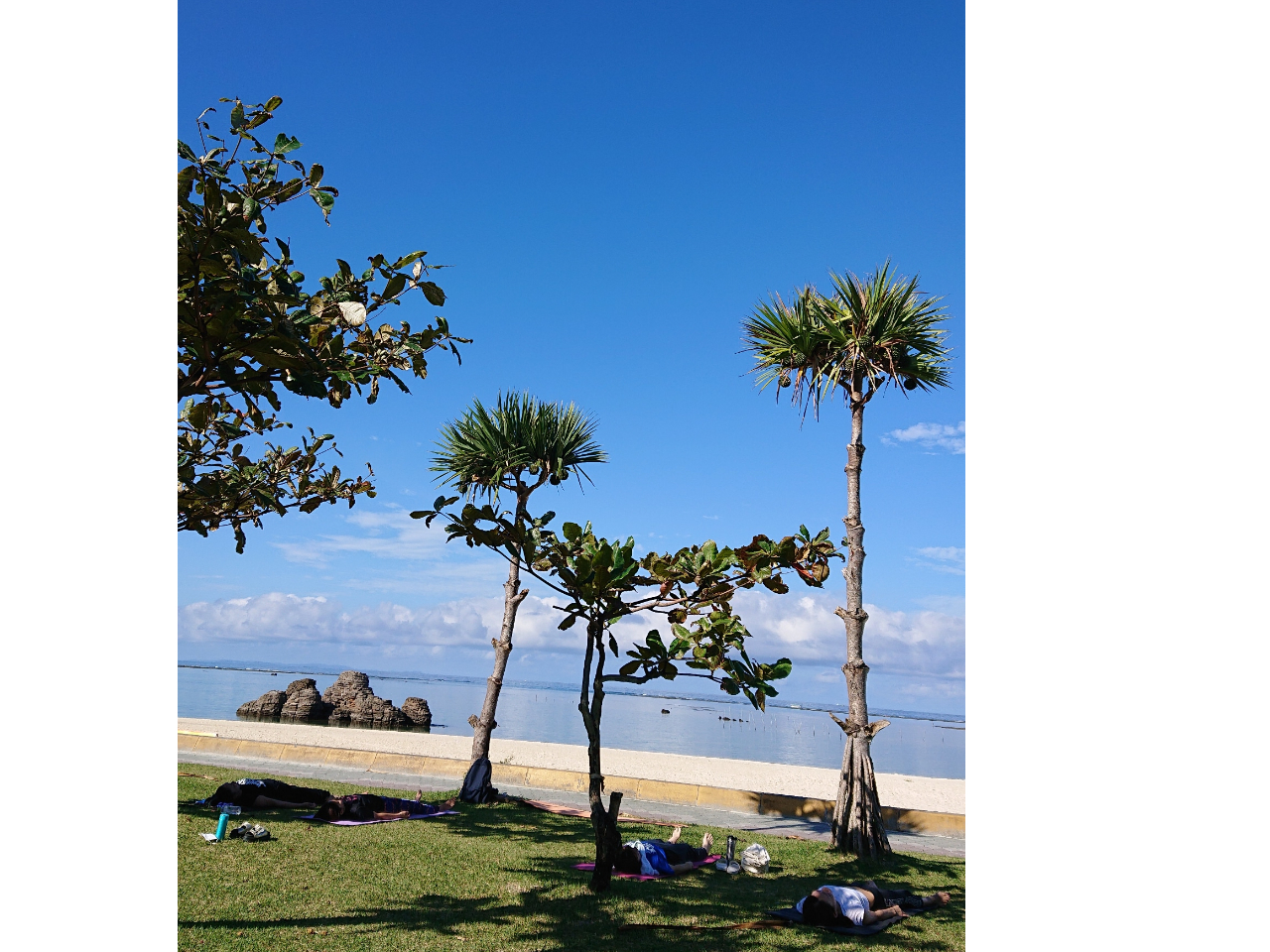 ꍇ͎Ő̏ꏊŃK         ؘRƐ𒭂߂ȂVoA[Ti͂ƂĂCǂł