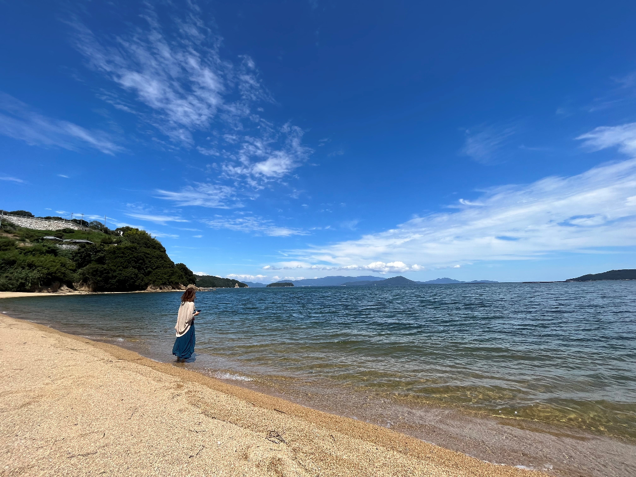 ˓̖͂CŎRPOWERՂ肢ăv`g[ǧ