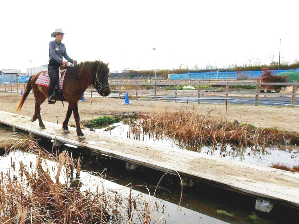 Kiod|ɒI߂ďn͈nX^[g܂B