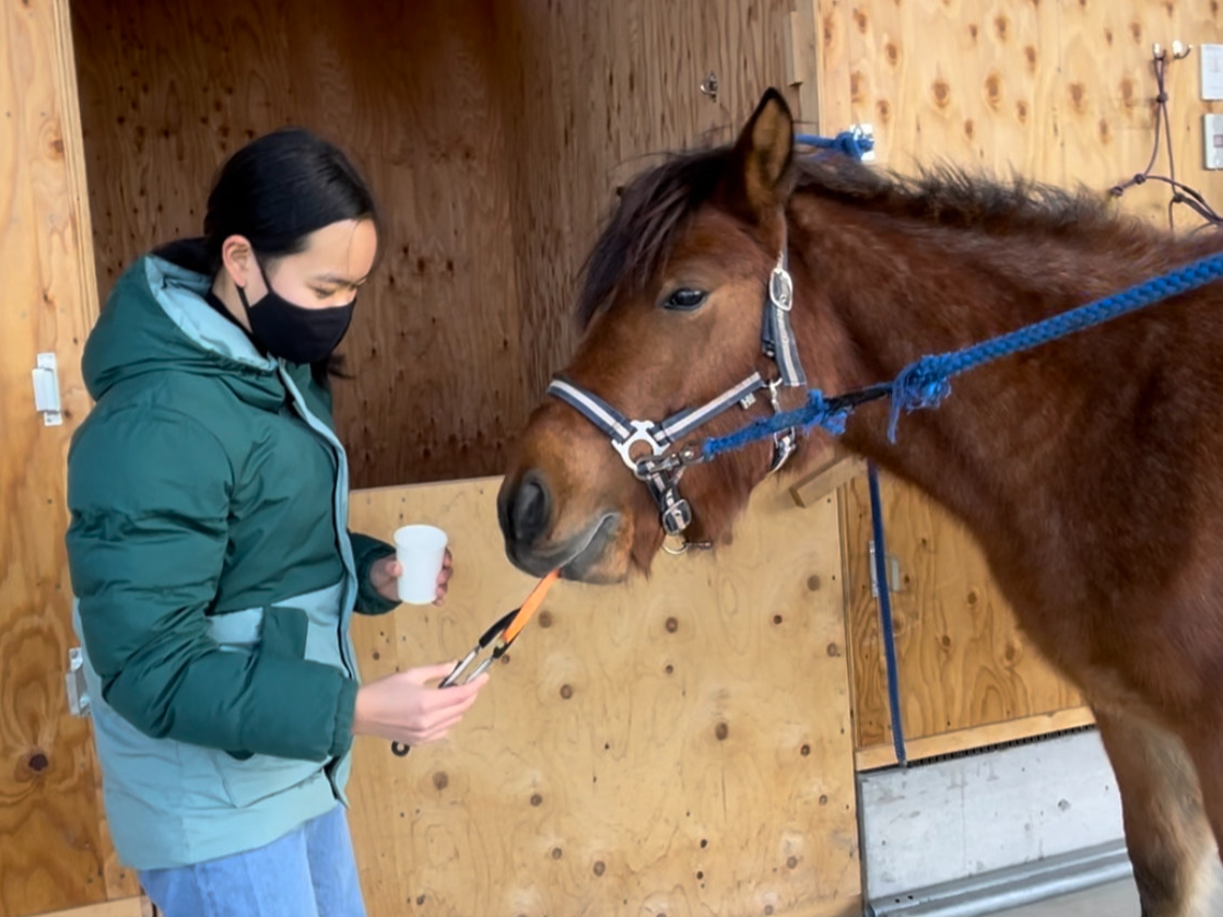 ǎ̗lquɂ񂶂񂪑DIv