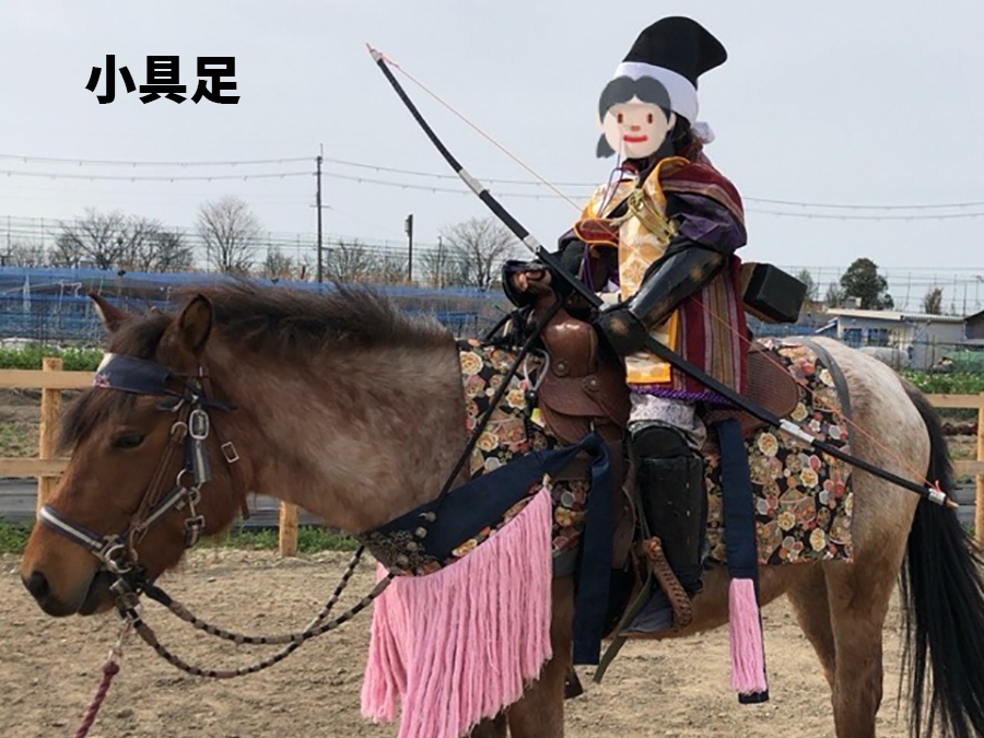 tA[}[yAĎEEΏ|EGXqEwHDB͓EE|Iׂ܂BqpiwTCYj*̈ߑ]̏ꍇ́A^t̃v