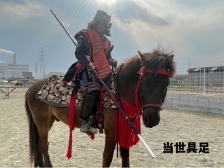 戦国時代の甲冑、小物は刀・槍・弓より選べます。子供用(小学生サイズあり)*こちらの衣装を希望の場合は、レンタル付きのプランを選択してください。