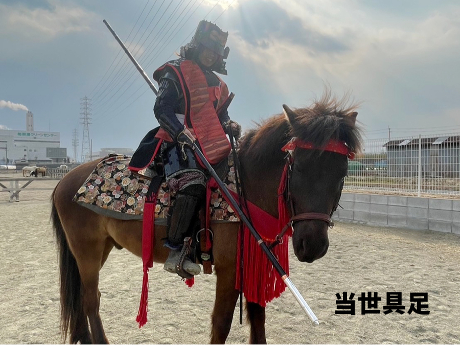 �퍑����̍b�h�A�����͓��E���E�|���I�ׂ܂��B�q���p�i���w���T�C�Y����j