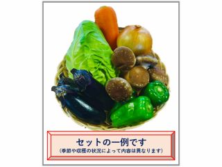 川越野菜セット(4人前) ※盛り合わせの内容は、一例です。季節や収穫の状況によって異なります。