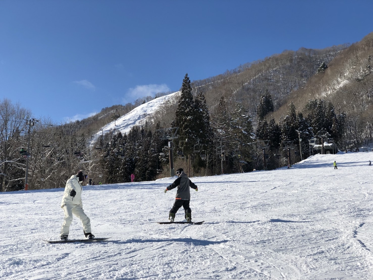 l̃O[vɃvtŃAhoCX܂̂ŁAX[YɏBႦ܂