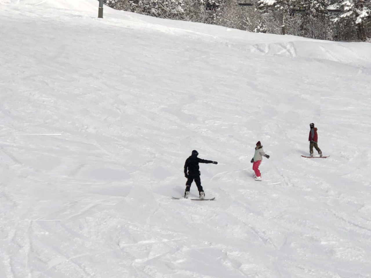 vIԋ󂢂Ă錊XL[ւAꂵ܂̂ŎCɂWėKł܂