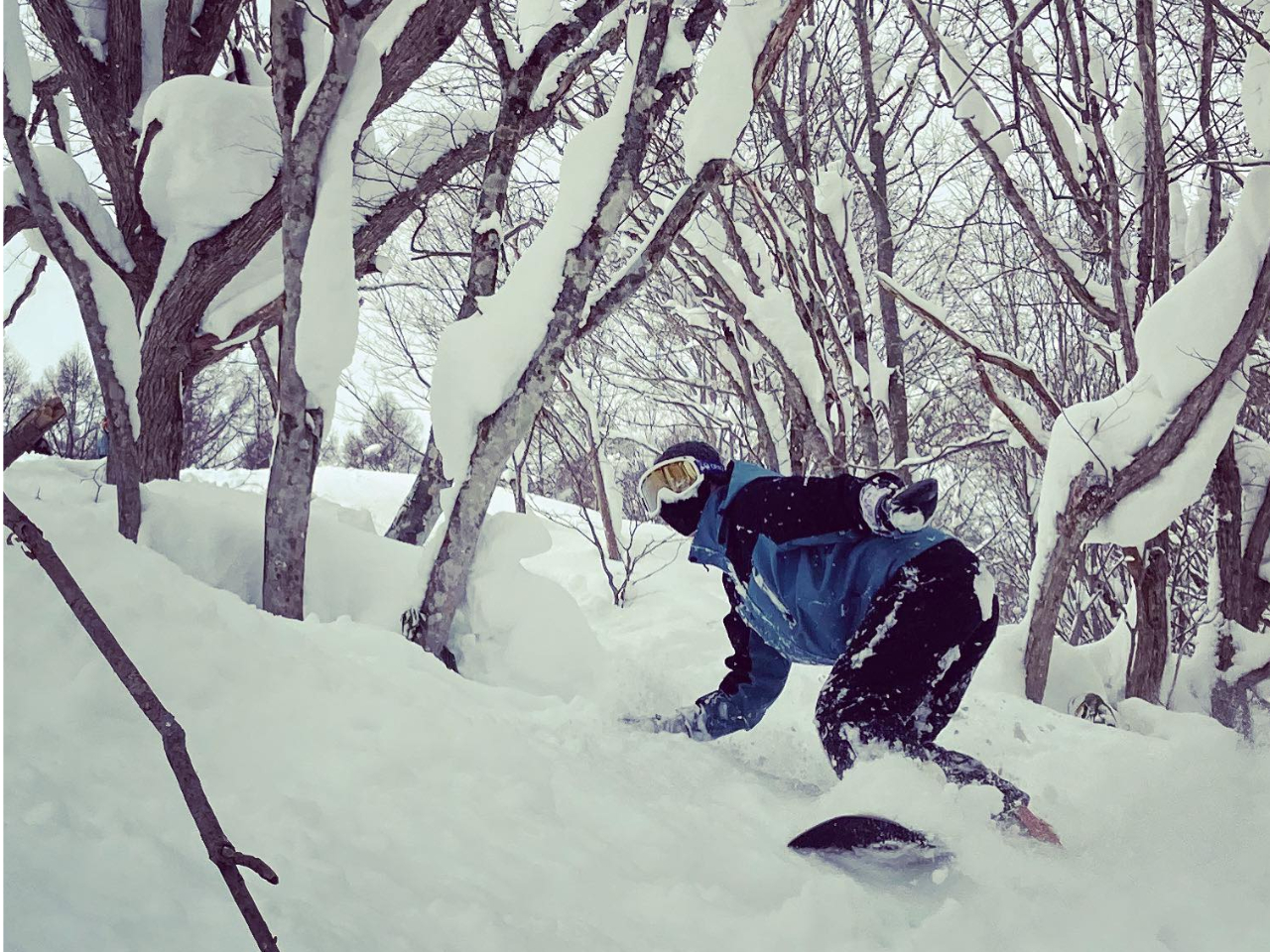 NNhLhL~܂ȂAṽKChy݂I