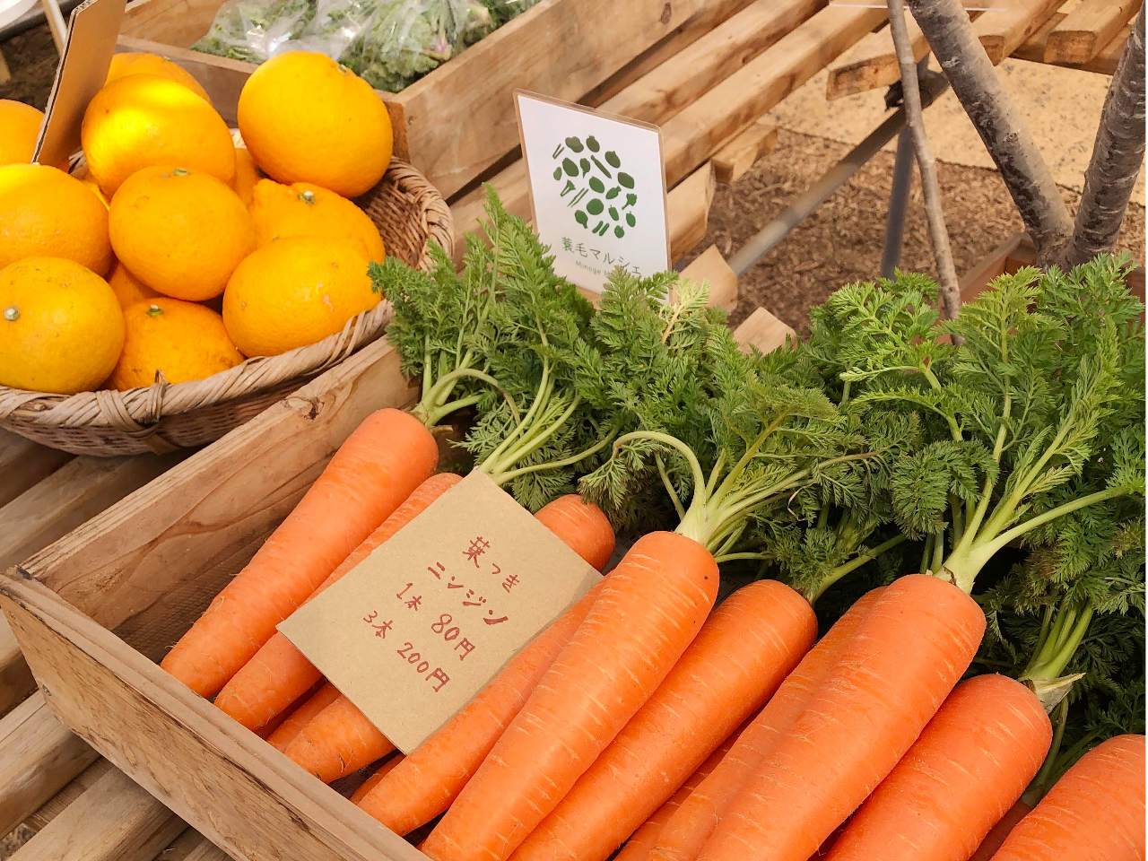 �����ł����n���؁A