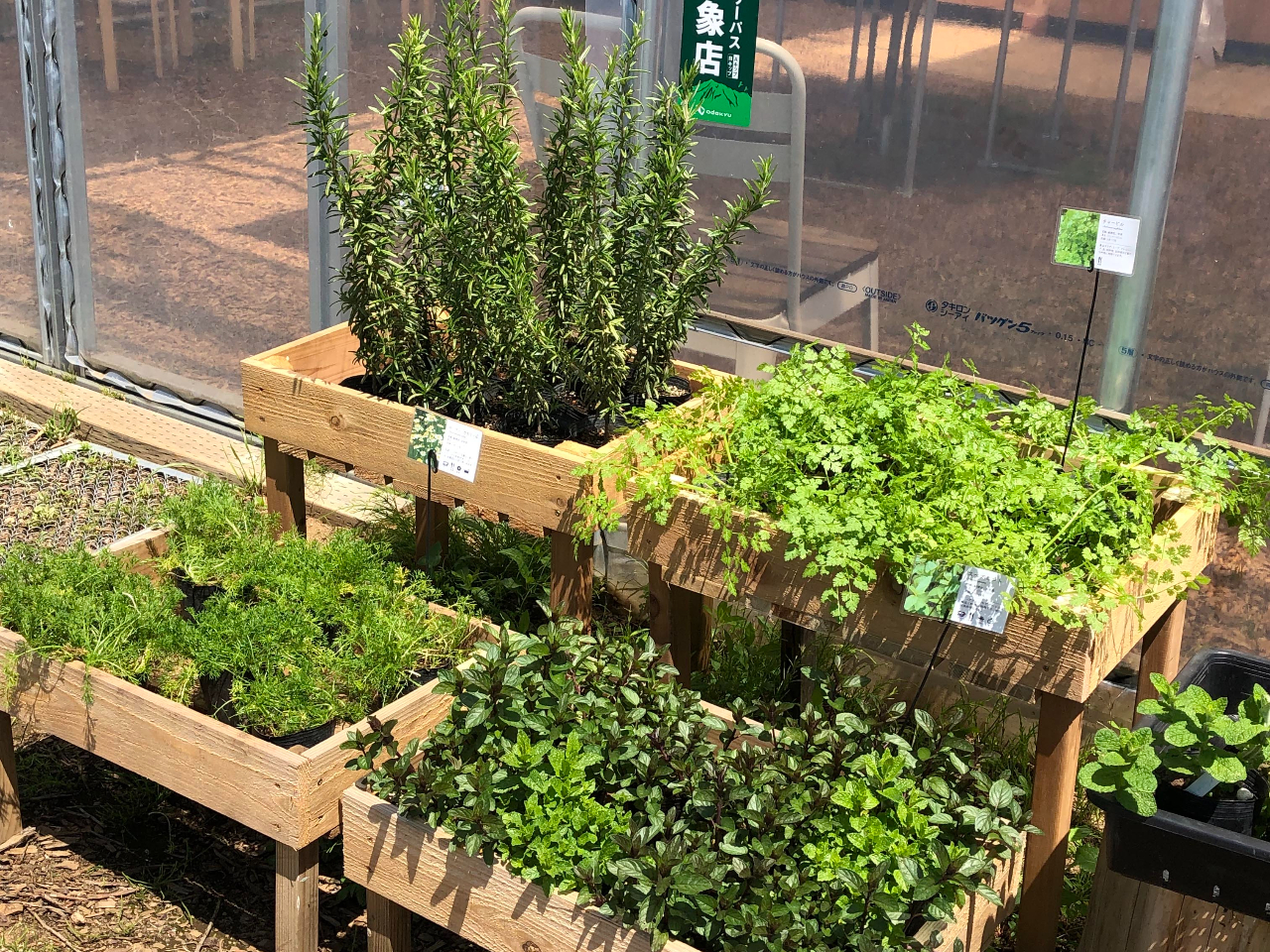 �n�[�u�c�̔̔�������܂��B