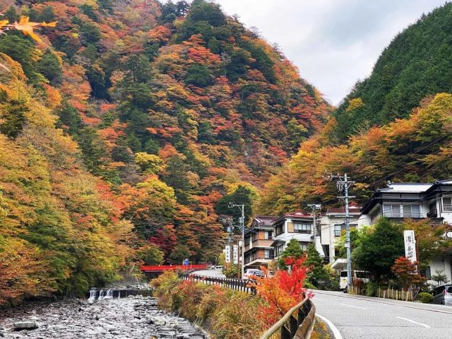 紅葉シーズンもおすすめですよ♪